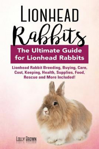 LIONHEAD RABBITS