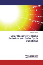 Solar Decametric Radio Emission and Solar Cycle Variations