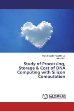 Study of Processing, Storage & Cost of DNA Computing with Silicon Computation