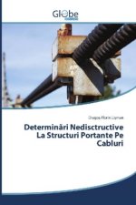 Determinari Nedisctructive La Structuri Portante Pe Cabluri