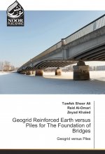 Geogrid Reinforced Earth versus Piles for The Foundation of Bridges