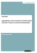 Jugendliche mit besonderem Foerderbedarf und ihre Chancen auf dem Arbeitsmarkt