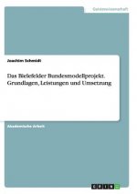 Bielefelder Bundesmodellprojekt. Grundlagen, Leistungen und Umsetzung