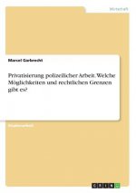 Privatisierung polizeilicher Arbeit. Welche Moeglichkeiten und rechtlichen Grenzen gibt es?