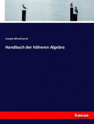 Handbuch der hoheren Algebra