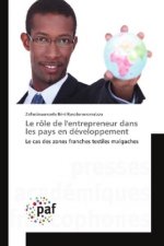 Le rôle de l'entrepreneur dans les pays en développement