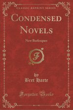 Condensed Novels