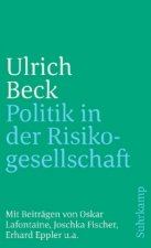 Politik in der Risikogesellschaft