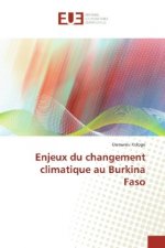 Enjeux du changement climatique au Burkina Faso