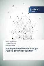 Metonymy Resolution through Named Entity Recognition