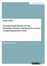 Therapiemoeglichkeiten fur das Borderline-Syndrom. Mit Beispielen aus der sozialpadagogischen Praxis