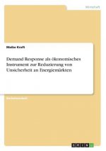 Demand Response als ökonomisches Instrument zur Reduzierung von Unsicherheit an Energiemärkten