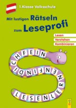 Mit lustigen Rätseln zum Leseprofi - 1. Klasse Volksschule