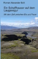 Ein Schaffhauser auf dem Laugavegur