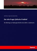 Der alte Prager jüdische Friedhof