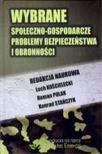 Wybrane spoleczno-gospodarcze problemy bezpieczenstwa i obronnosci