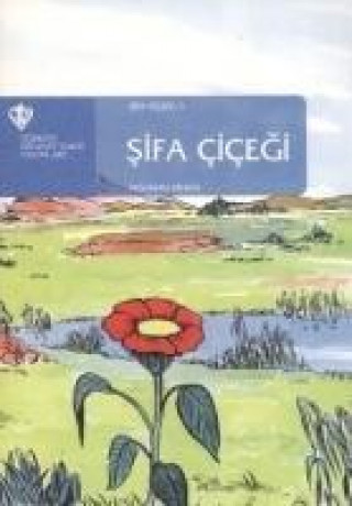 Sifa Cicegi - Sifa Cicegi 3