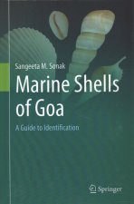 Marine Shells of Goa
