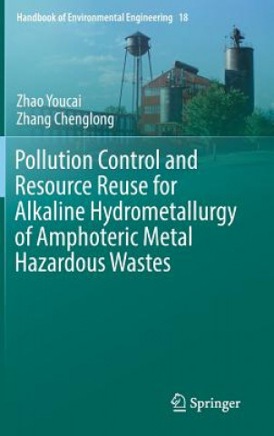 Pollution Control and Resource Reuse for Alkaline Hydrometallurgy of Amphoteric Metal Hazardous Wastes