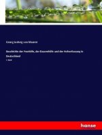 Geschichte der Fronhoefe, der Bauernhoefe und der Hofverfassung in Deutschland