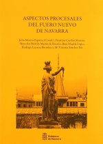 Aspectos procesales del Fuero Nuevo de Navarra