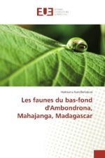 Les faunes du bas-fond d'Ambondrona, Mahajanga, Madagascar