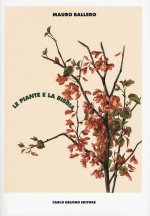 Le piante e la Bibbia