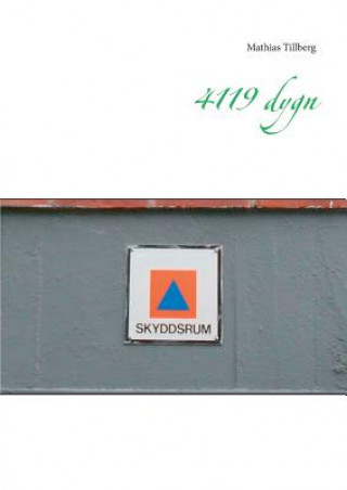 4119 dygn