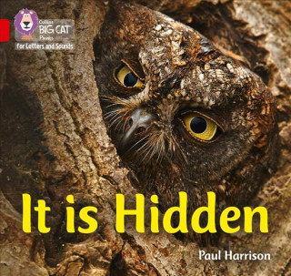 It is Hidden