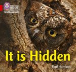 It is Hidden