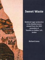 Sweet Waste: Medieval sugar production in the Mediterranean viewed from the 2002 excavations at Tawahin es-Sukkar, Safi, Jordan