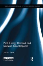 Peak Energy Demand and Demand Side Response