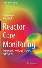 Reactor Core Monitoring