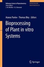 Bioprocessing of Plant In Vitro Systems