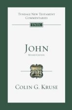 John: An Introduction and Commentary