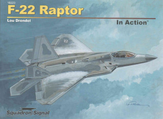 F-22 RAPTOR IN ACTION