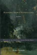 Burning Down Disneyland