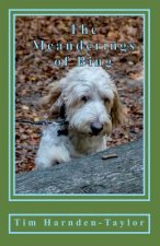 Meanderings of Bing