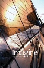 IMAGINE BASIC