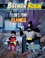 The Felon's Fowl Flames: Batman & Robin Use Fire Investigation to Crack the Case
