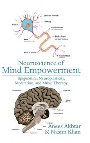 Neuroscience of Mind Empowerment