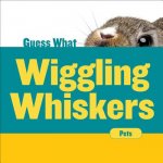 Wiggling Whiskers: Rabbit