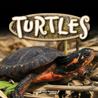 TURTLES