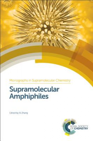 Supramolecular Amphiphiles