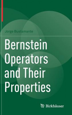 Bernstein Operators and Their Properties