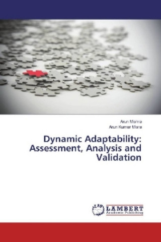 Dynamic Adaptability: Assessment, Analysis and Validation