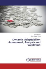 Dynamic Adaptability: Assessment, Analysis and Validation