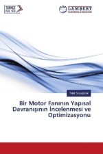Bir Motor Fan inin Yap ial Davranisinin incelenmesi ve Optimizasyonu
