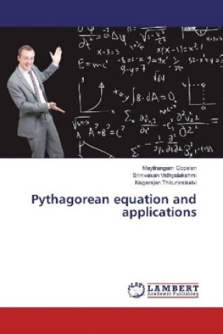 Pythagorean equation and applications