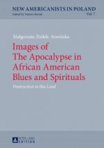 Images of The Apocalypse in African American Blues and Spirituals